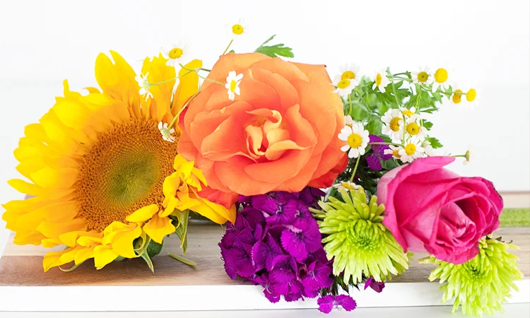 Change Your Beliefs, Change Your Life!