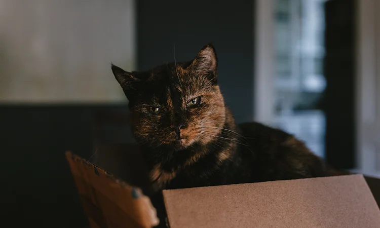 He’ll Let You Know