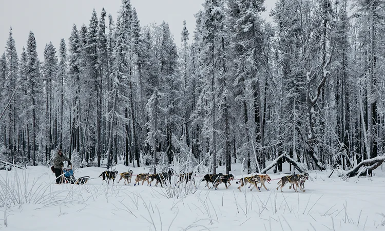 Re: The Election, To: Empaths & Highly Senstives