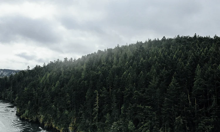 Clearing your Energetic Field and Spiritual Hygiene with Dr. Justine Uselding – Show Notes from Charmed Life, Episode 4/2/17