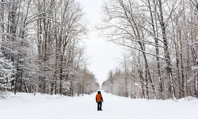 Grounding Your Spiritual Experience with Bridget Nielsen – Show Notes from Charmed Life, Episode 4/16/17