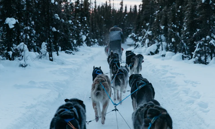 You Don’t Have to be Perfect to be Powerful