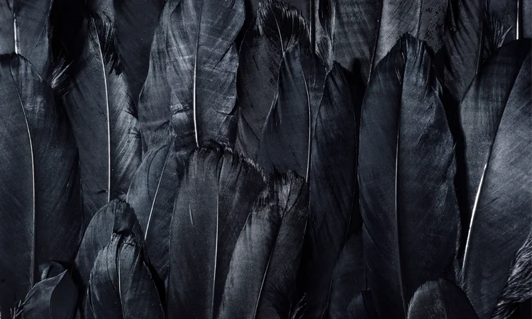 Channeled Message from Patience, A Living Word