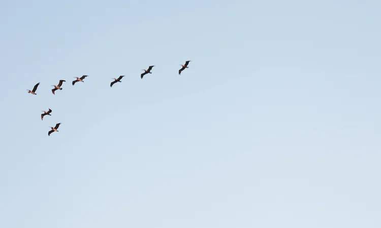 Spiritual Awakening with Victor Oddo – Show Notes from Charmed Life, Episode 3/26/17