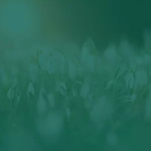 Abundance Hypno-journey