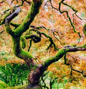 Super Grounding + Transcending