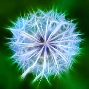 Mindful State of Bliss Meditation