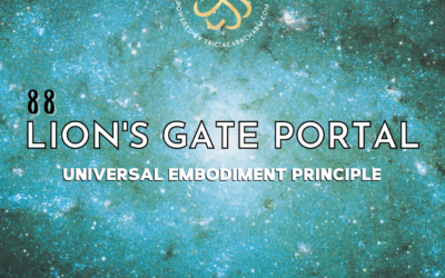 Lion’s Gate Portal 8/8 – What’s it All About?