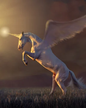 Unicorns + Female Archangels | Calista, Award-winning Author