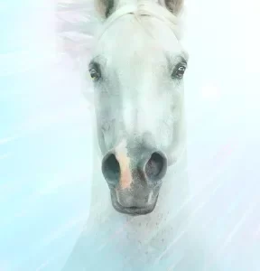 Unicorn Guide Meditation