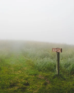 Living in Integrity: The Power of Unity Consciousness